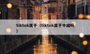 tiktok属于（tiktok属于中国吗）