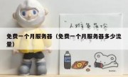 免费一个月服务器（免费一个月服务器多少流量）