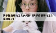 快手作品评论怎么关闭掉（快手作品评论怎么关闭掉了）
