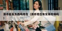 派币能买东西吗现在（派币现在有交易市场吗）