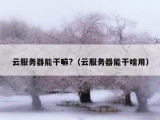 云服务器能干嘛?（云服务器能干啥用）