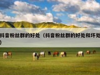 抖音粉丝群的好处（抖音粉丝群的好处和坏处）