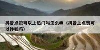 抖音点赞可以上热门吗怎么弄（抖音上点赞可以挣钱吗）