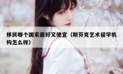 移民哪个国家最好又便宜（斯芬克艺术留学机构怎么样）