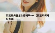 饥荒服务器怎么搭建linux（饥荒如何建服务器）
