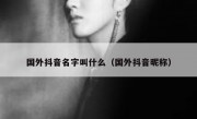 国外抖音名字叫什么（国外抖音昵称）