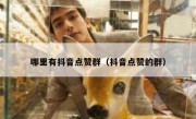 哪里有抖音点赞群（抖音点赞的群）