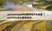 youtubeapp评论翻译成中文设置（youtube怎么翻译评论）