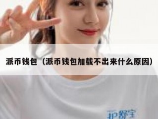 派币钱包（派币钱包加载不出来什么原因）
