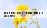 限号天津新一轮11月（天津新一轮限号10月8日图片）