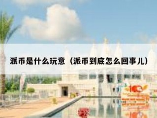 派币是什么玩意（派币到底怎么回事儿）