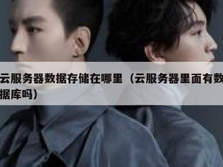 云服务器数据存储在哪里（云服务器里面有数据库吗）