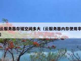 云服务器存储空间多大（云服务器内存使用率）