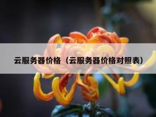 云服务器价格（云服务器价格对照表）