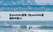 在youtube直播（在youtube直播的中国人）