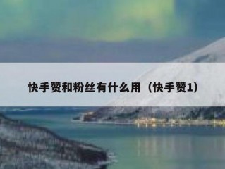 快手赞和粉丝有什么用（快手赞1）