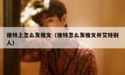推特上怎么发推文（推特怎么发推文并艾特别人）