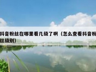 抖音粉丝在哪里看几级了啊（怎么查看抖音粉丝级别）