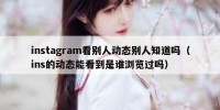 instagram看别人动态别人知道吗（ins的动态能看到是谁浏览过吗）