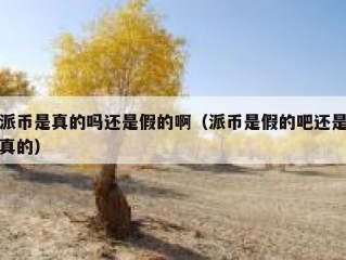 派币是真的吗还是假的啊（派币是假的吧还是真的）