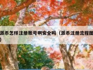 派币怎样注册账号啊安全吗（派币注册流程图）