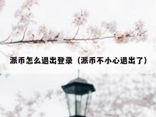 派币怎么退出登录（派币不小心退出了）