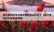 支付宝代付可以用花呗吗怎么付不了（支付宝代付不能用花呗吗）