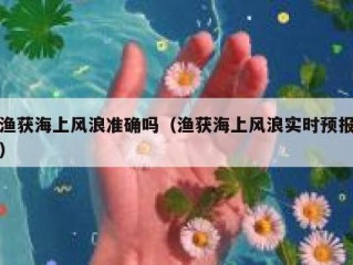 渔获海上风浪准确吗（渔获海上风浪实时预报）