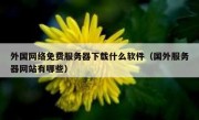 外国网络免费服务器下载什么软件（国外服务器网站有哪些）