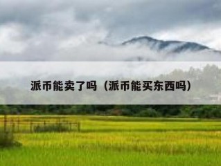 派币能卖了吗（派币能买东西吗）