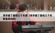 派币骗了最怕三个东西（派币骗了最怕三个东西是真的吗）