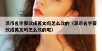 派币名字要改成英文吗怎么改的（派币名字要改成英文吗怎么改的呢）