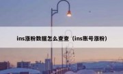 ins涨粉数据怎么查查（ins账号涨粉）