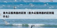 各大云服务器的区别（各大云服务器的区别是什么）