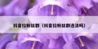 抖音拉粉丝群（抖音拉粉丝群违法吗）