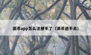 派币app怎么注册不了（派币进不去）