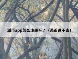 派币app怎么注册不了（派币进不去）