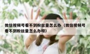 微信视频号看不到粉丝量怎么办（微信视频号看不到粉丝量怎么办呀）