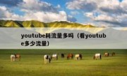 youtube耗流量多吗（看youtube多少流量）