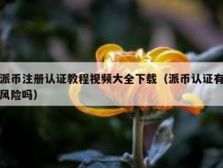 派币注册认证教程视频大全下载（派币认证有风险吗）