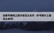 在限号期间上路行驶怎么处罚（车号限行上路怎么处罚）
