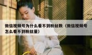 微信视频号为什么看不到粉丝数（微信视频号怎么看不到粉丝量）