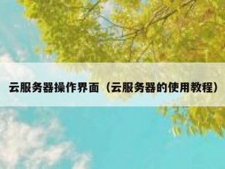 云服务器操作界面（云服务器的使用教程）
