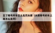 忘了限号开车怎么处罚太原（太原限号的车上路怎么处罚）