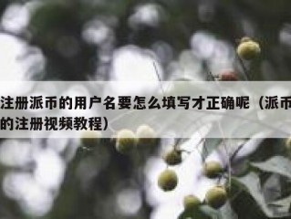 注册派币的用户名要怎么填写才正确呢（派币的注册视频教程）