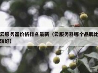 云服务器价格排名最新（云服务器哪个品牌比较好）