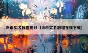 派币实名教程视频（派币实名教程视频下载）