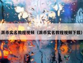 派币实名教程视频（派币实名教程视频下载）
