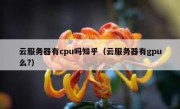 云服务器有cpu吗知乎（云服务器有gpu么?）
