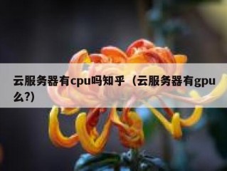 云服务器有cpu吗知乎（云服务器有gpu么?）